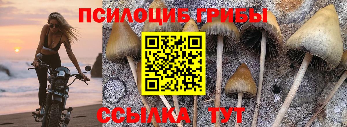 Лесозаводск  Галлюциногенные грибы GOLDEN TEACHER  Вход с VPN 